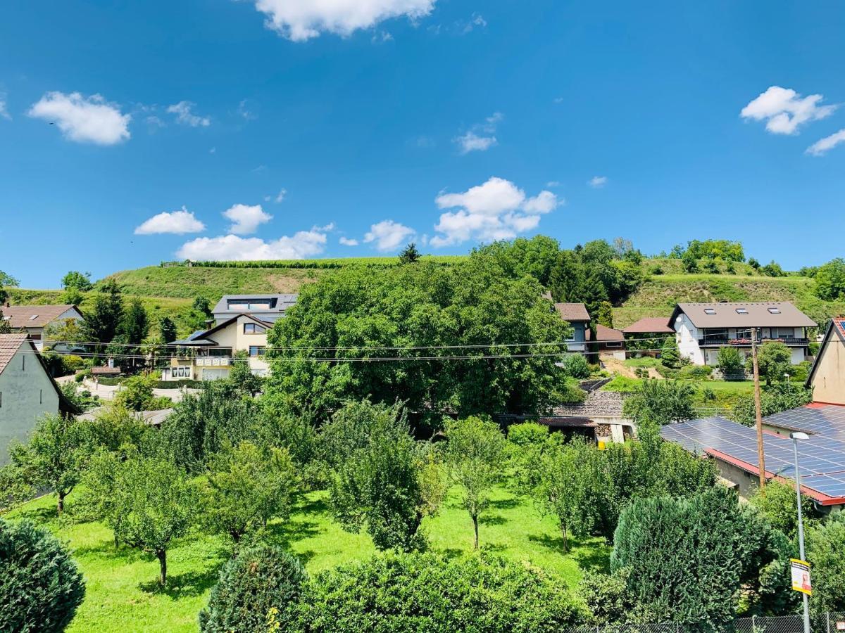 Ferienwohnung Liesel - Kuche, Bad, Wlan, 3 Schlafzimmer, Parkplatz Malterdingen Екстер'єр фото